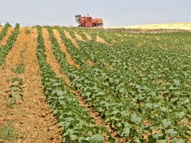 Agriculture in Pakistan