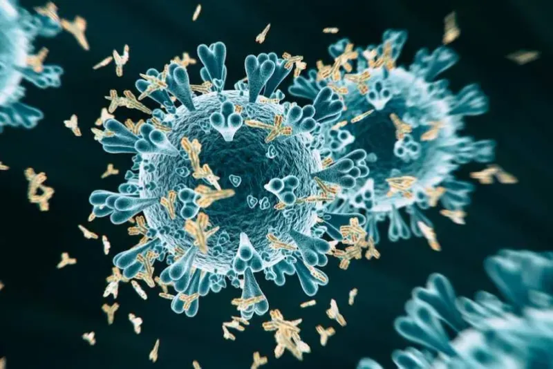 Antibodies - An Incomplete Immune to COVID-19?
