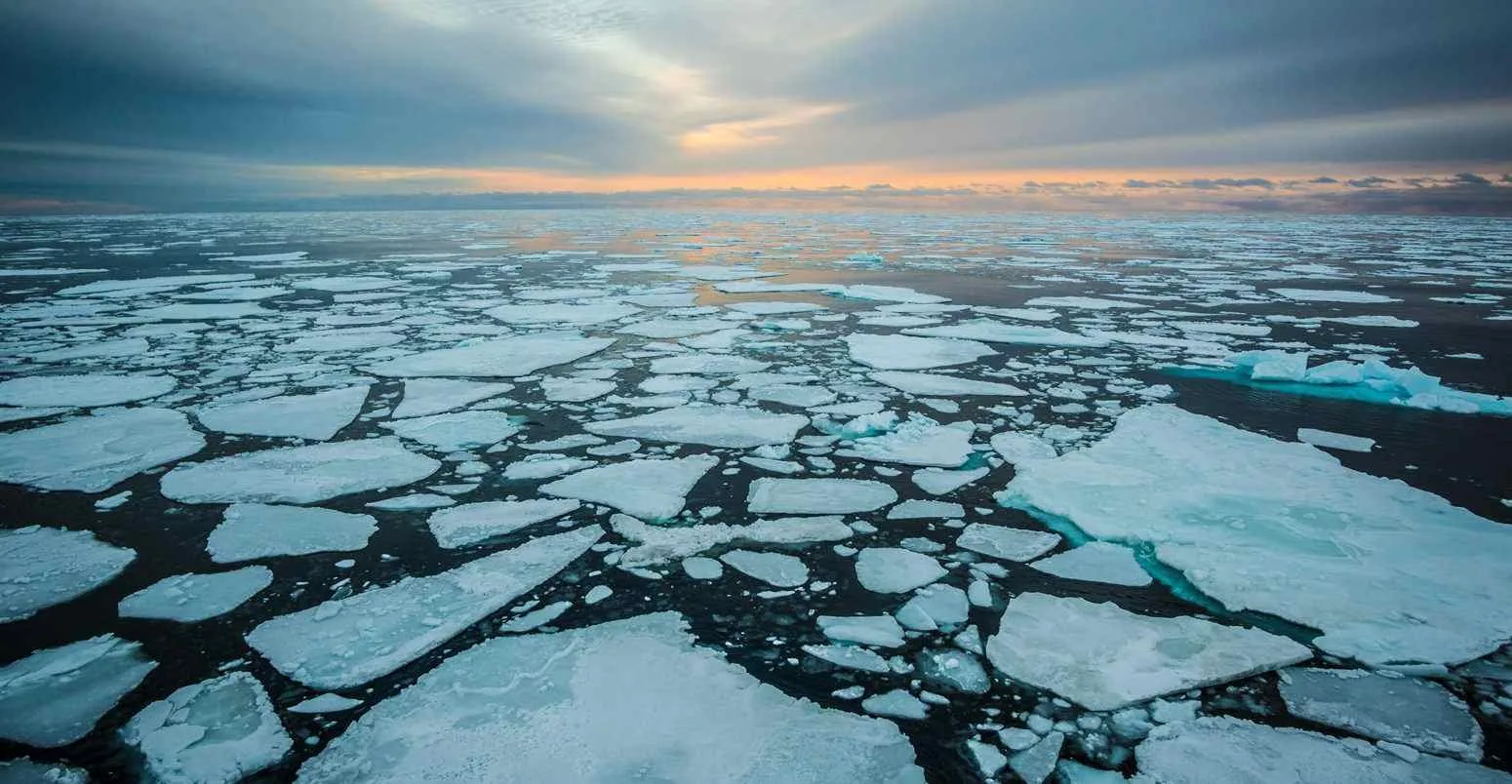 Why Arctic sea ice just crashed to an extreme, record low?