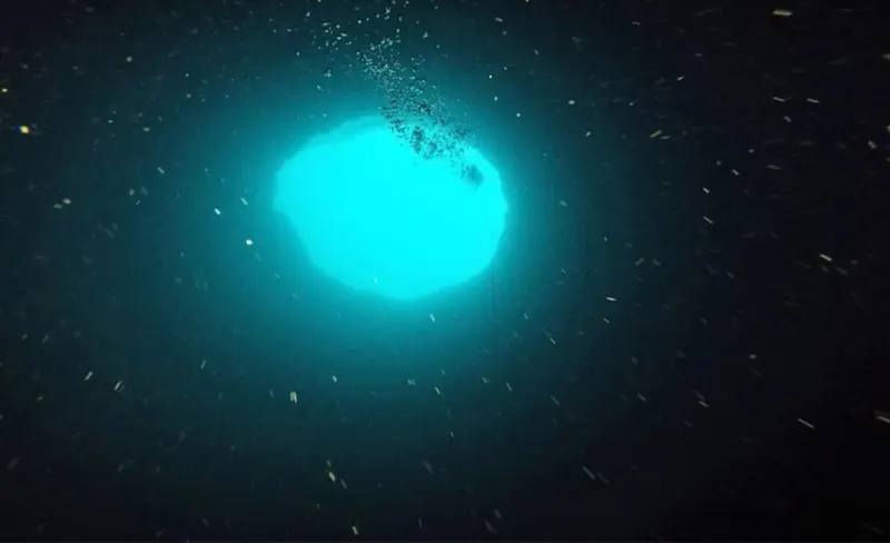 Mysterious 'Blue Hole' off Florida's Gulf Coast