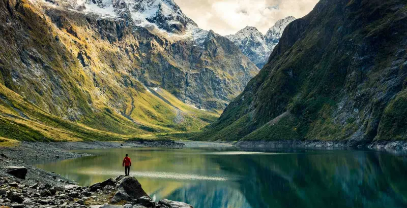 How New Zealand is Eliminating Coronavirus at its Borders