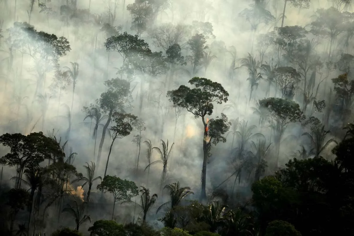 Rainforest Fires in Brazil Worsening, it could further Worsen