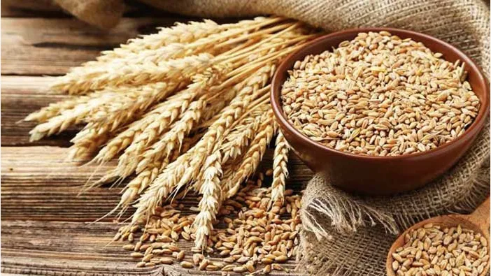 PM makes Wheat Flour available on affordable Rates