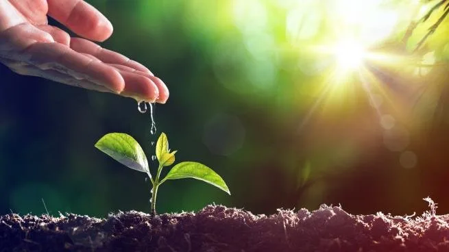 World Environment Day will be hosted by Pakistan this year