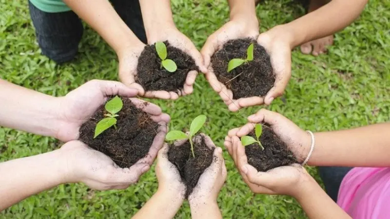 Trees Plantation Campaigns in Balochistan