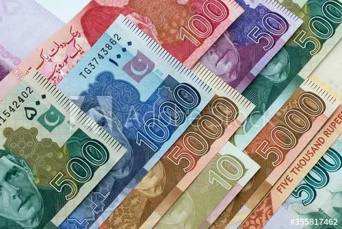 Pakistan reports 30% growth