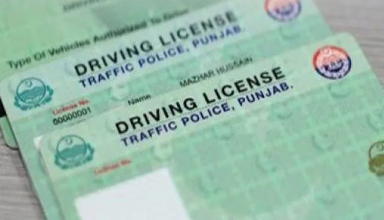 Driver's license