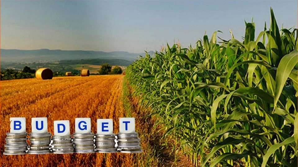 agriculture