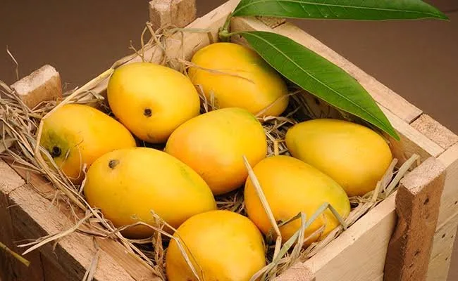 Govt extends Mango exports date to May 25