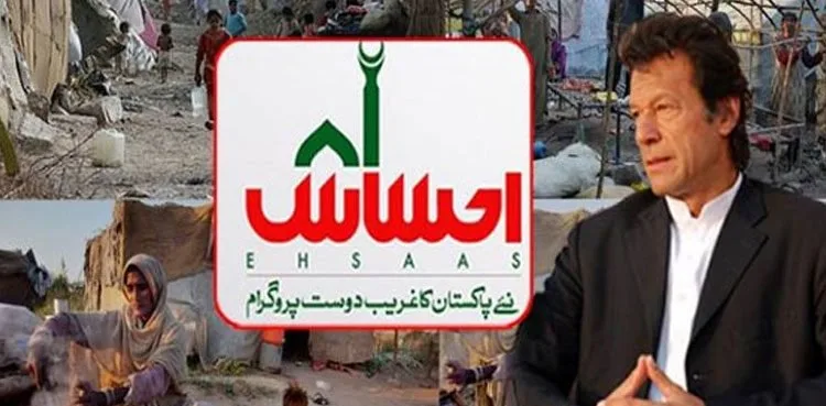 Ehsaas survey