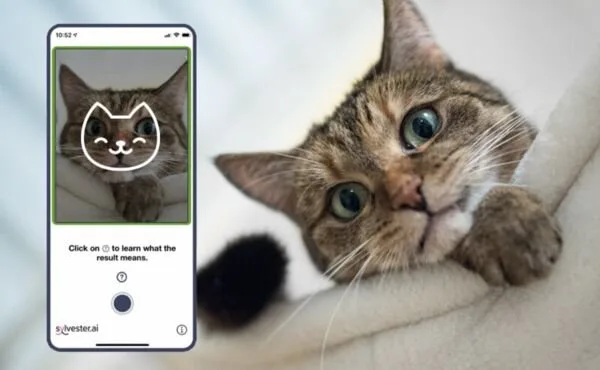 Face reading app