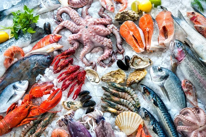 Fish