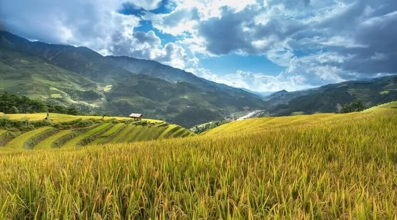 Pakistan