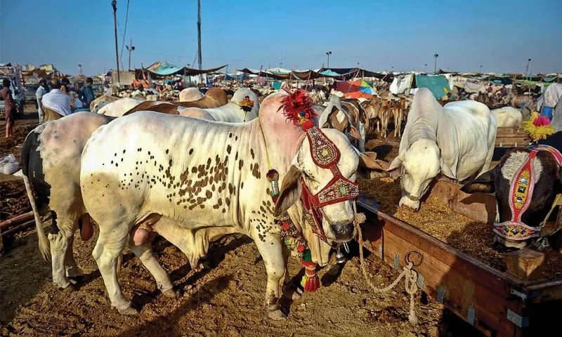 Eid-ul-Azha