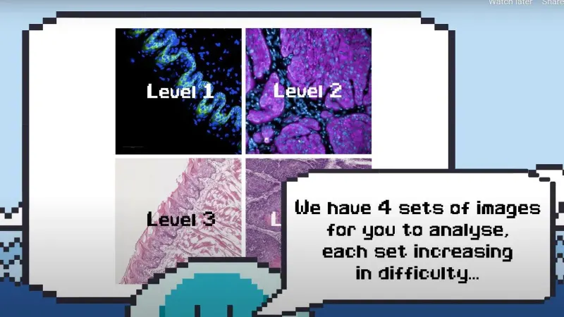 Cancer Researchers