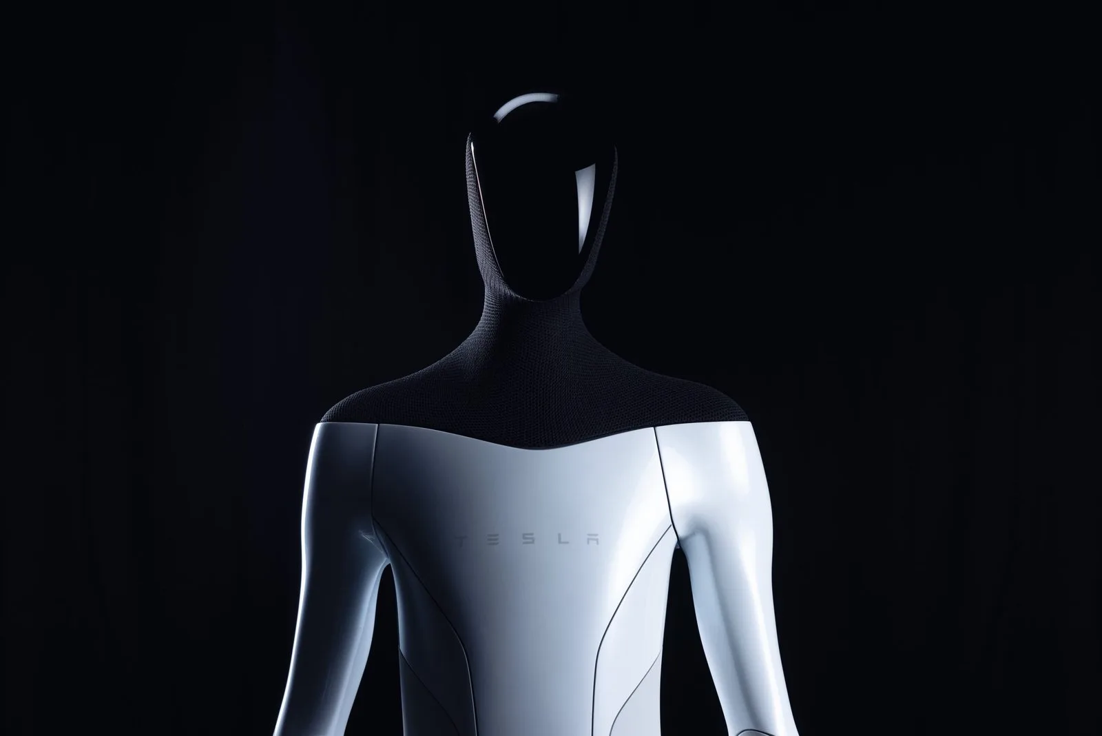 Tesla Humanoid