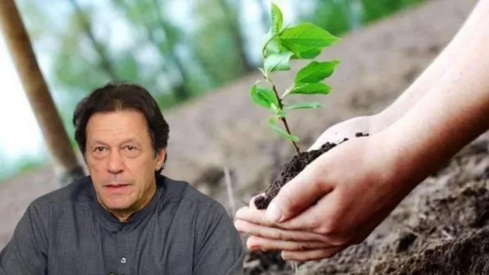 Imran