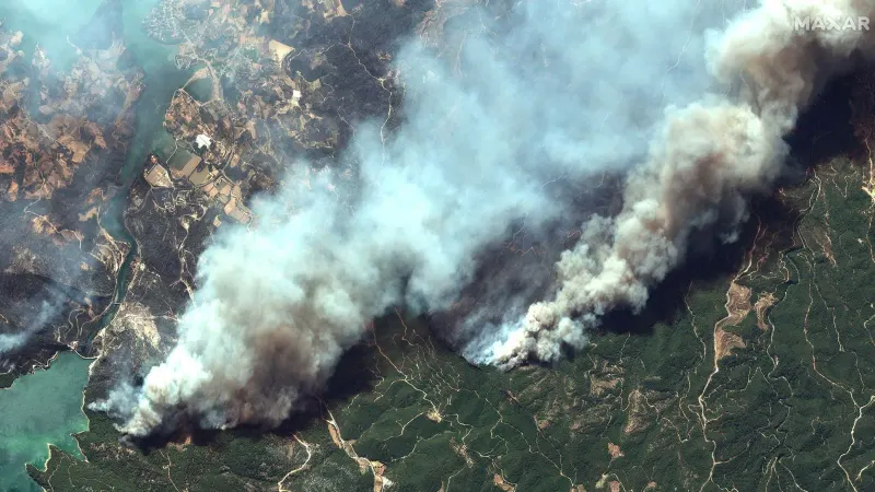 Wildfires