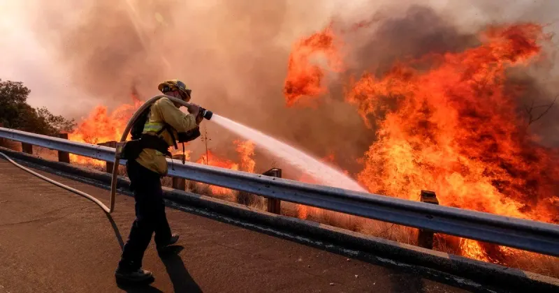 wildfires