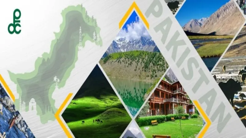 PTDC