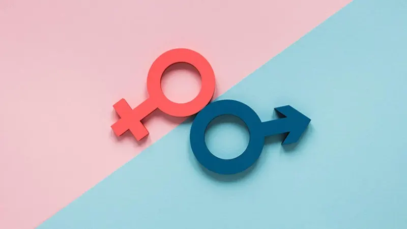 Gender Equality
