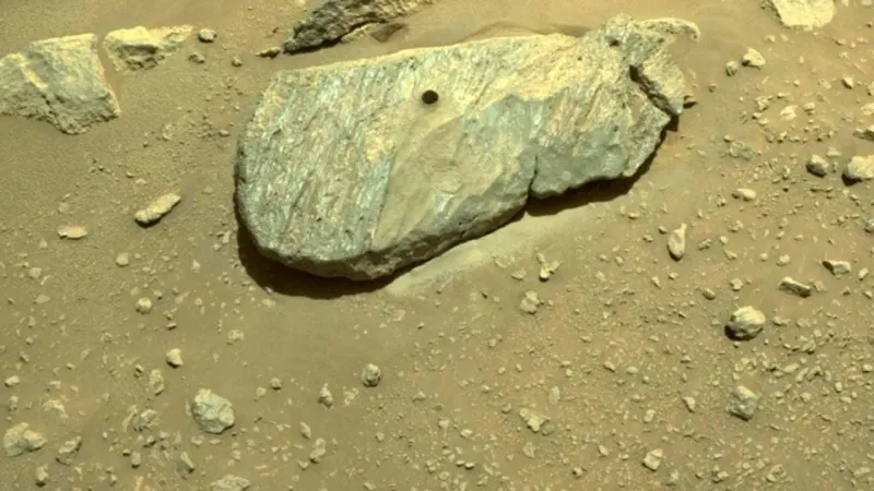 Nasa acquires its first martian rock