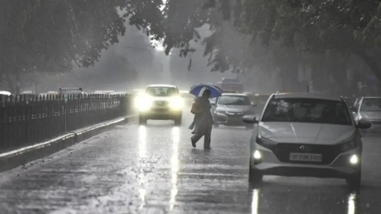 Thundershower & Heavy rainfall