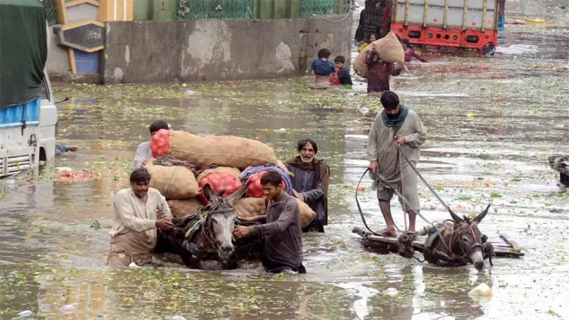 Vegetable vendors transporting their goods