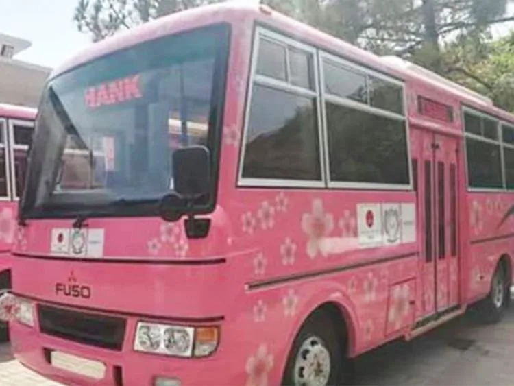Pink Busses