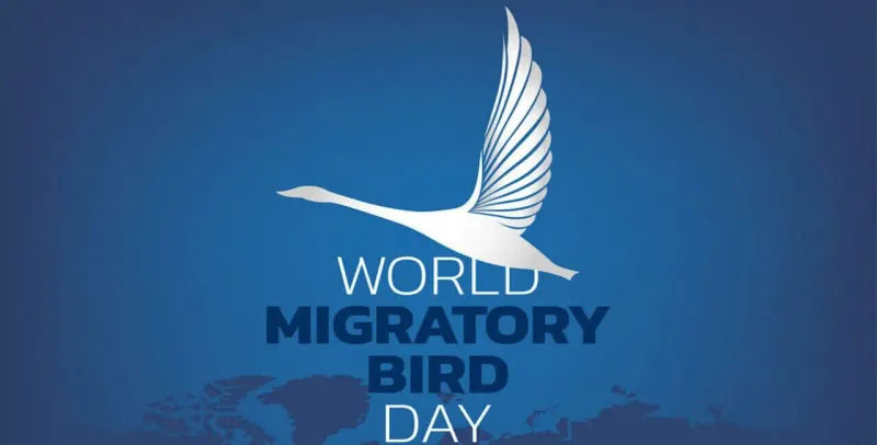 World Migratory Bird Day
