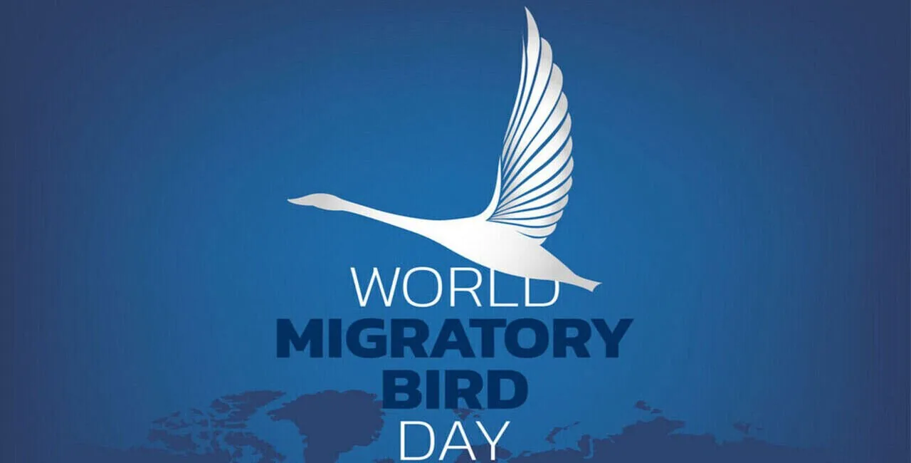 World Migratory Bird Day