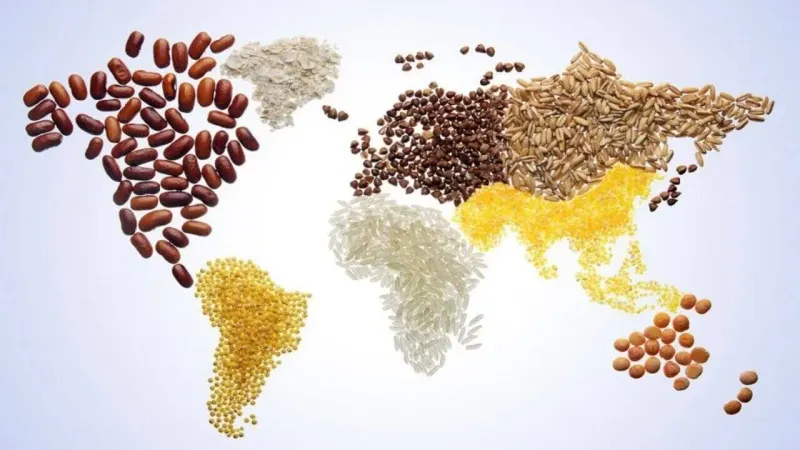 World food prices