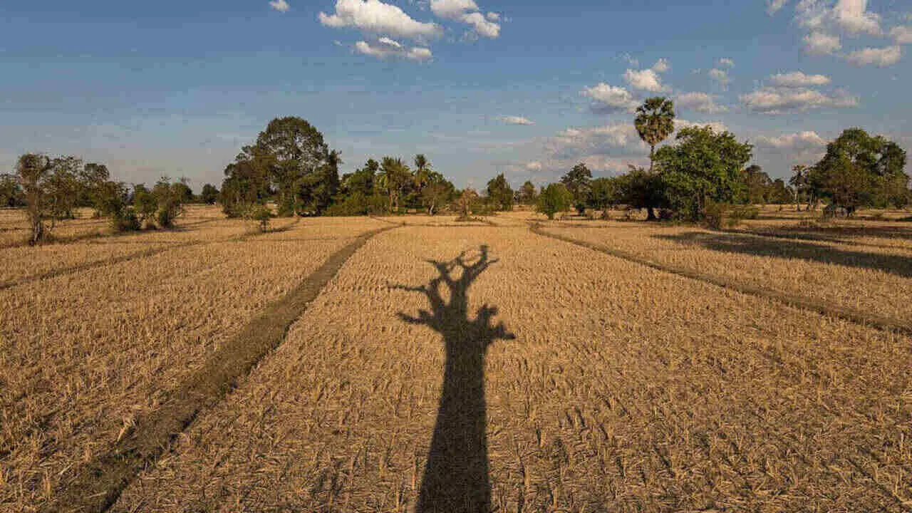 Dry weather expected in most parts of Pakistan