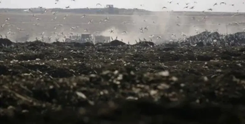 Peshawar's Largest Park on a Dumping Site