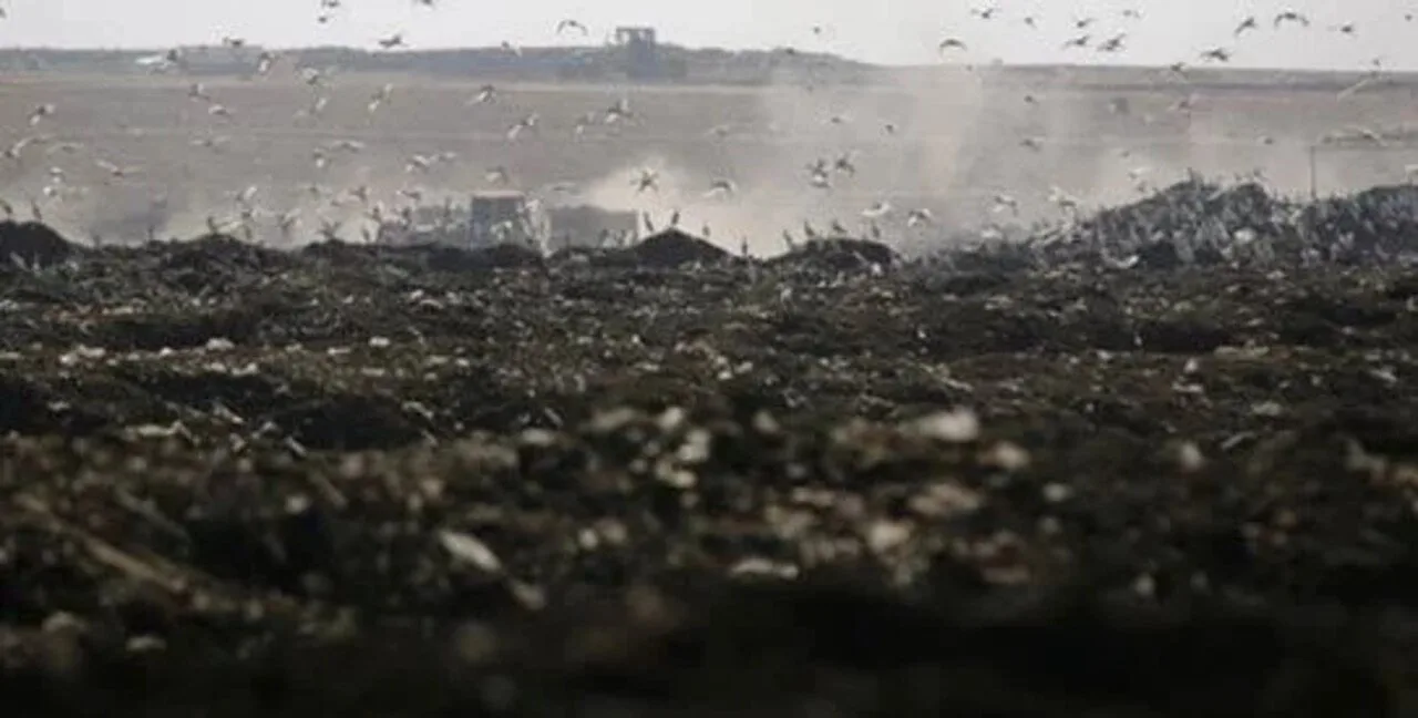 Peshawar's Largest Park on a Dumping Site