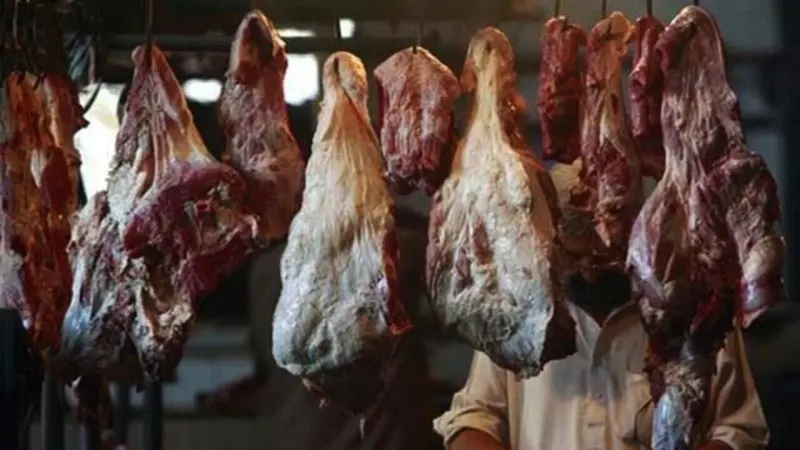 Meat export