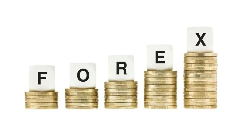 Pakistan forex reserves totaled US$23.93 billion as of Oct 29