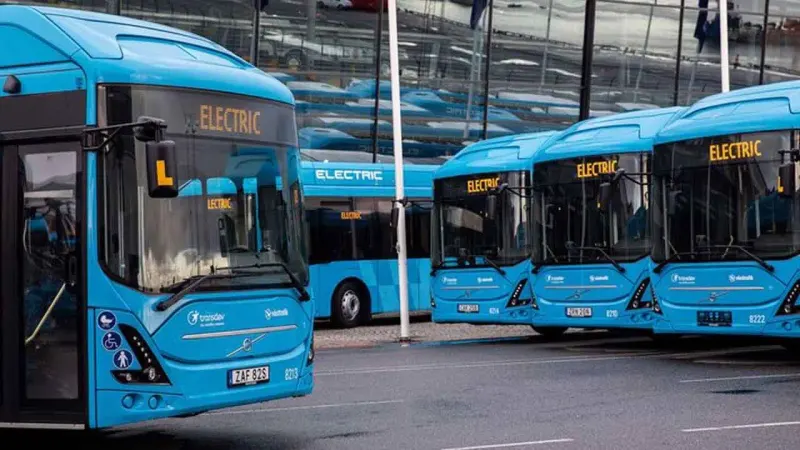 buses