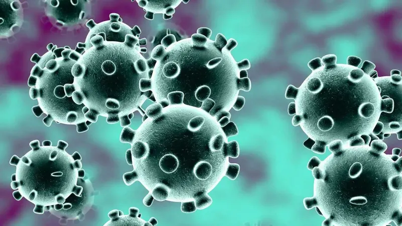 coronavirus