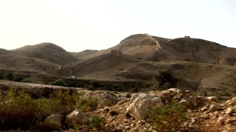 Rani kot