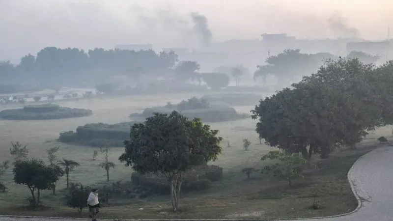 Anti-smog