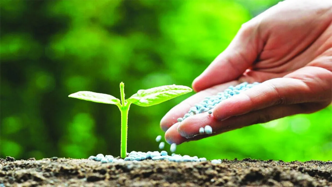 South Korea urea export