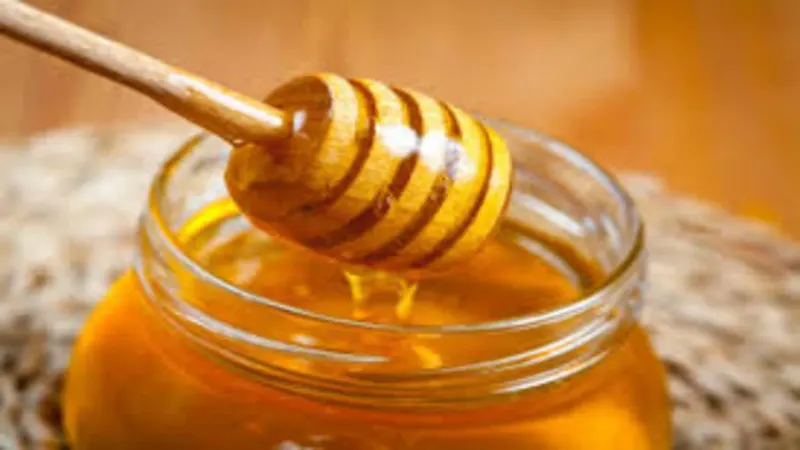 trees honey program