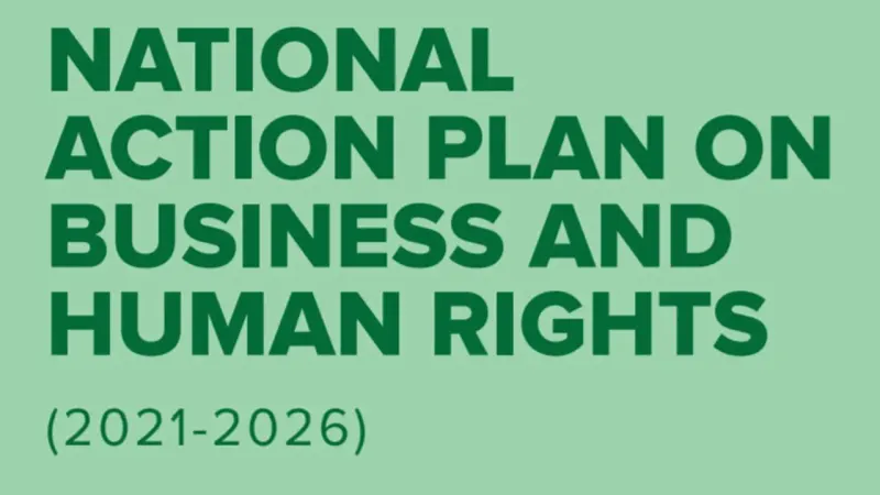 NAP on human rights