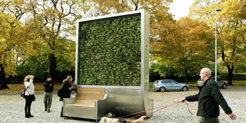 Lahore: First city of Pakistan to have smart trees of environmental benefits