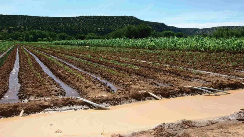 Punjab irrigation