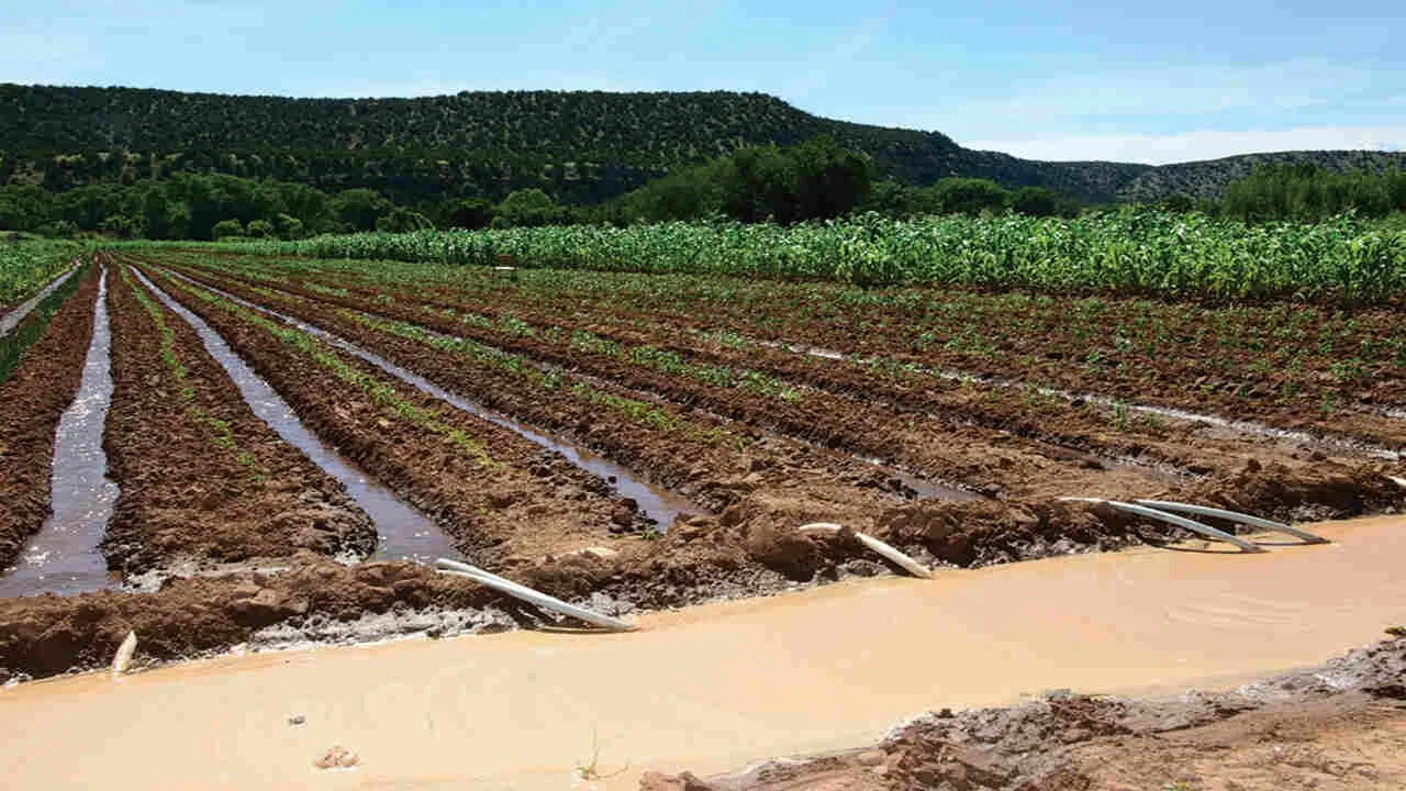Punjab irrigation