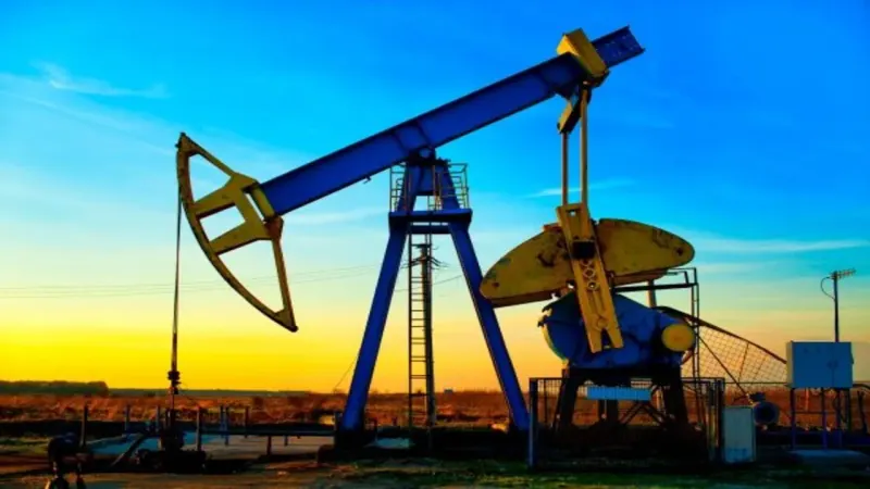 Petroleum Division