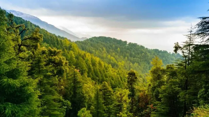 Pakistan