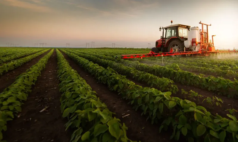 Farmers Earned Extra PKR400 billion on 5 major crops